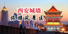 美女小骚逼中国陕西-西安城墙旅游风景区